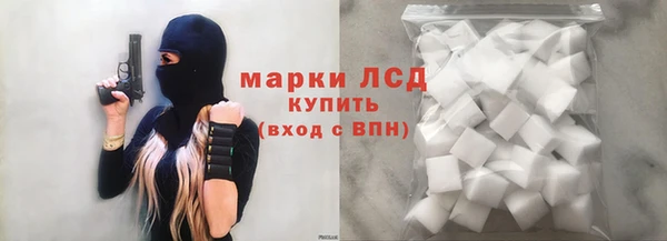 ECSTASY Елизово