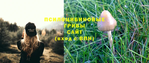 ECSTASY Елизово