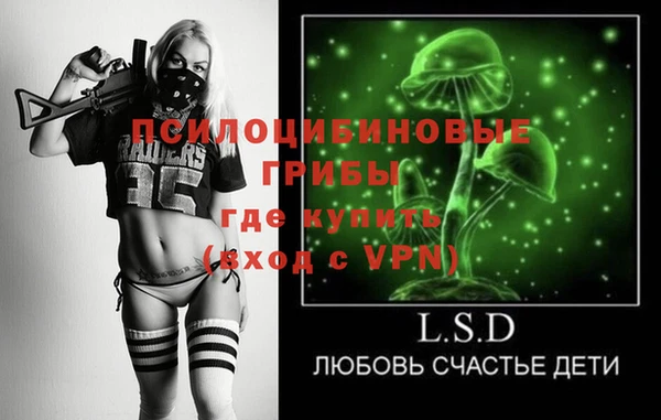 герыч Ельня
